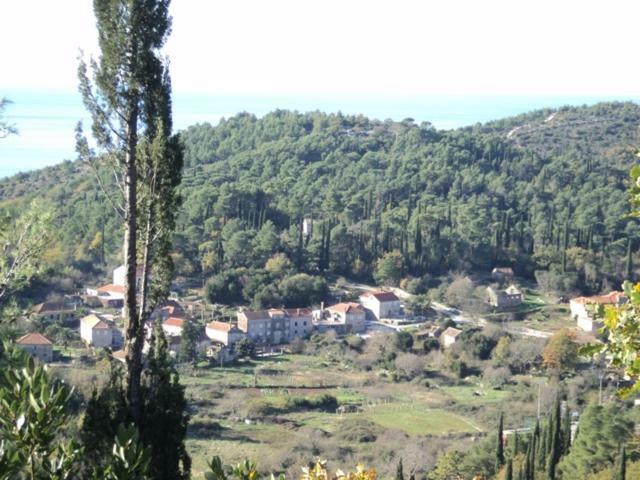 Konavle Apartment *